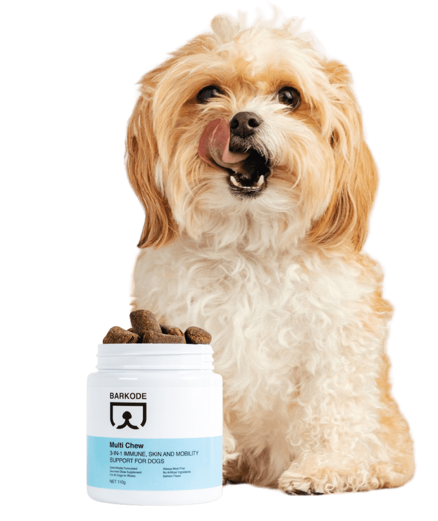 Dog with Multi Chew
