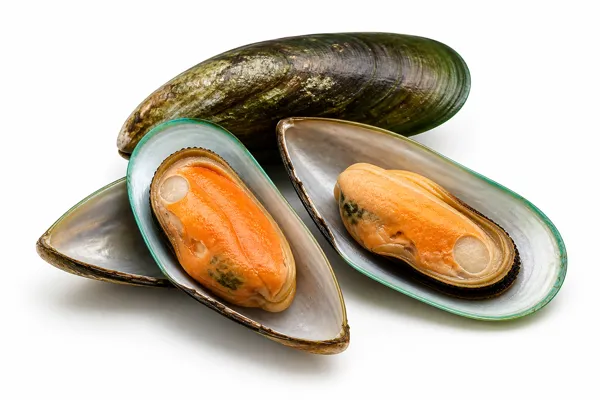 Glucosamine and green-lipped mussel
