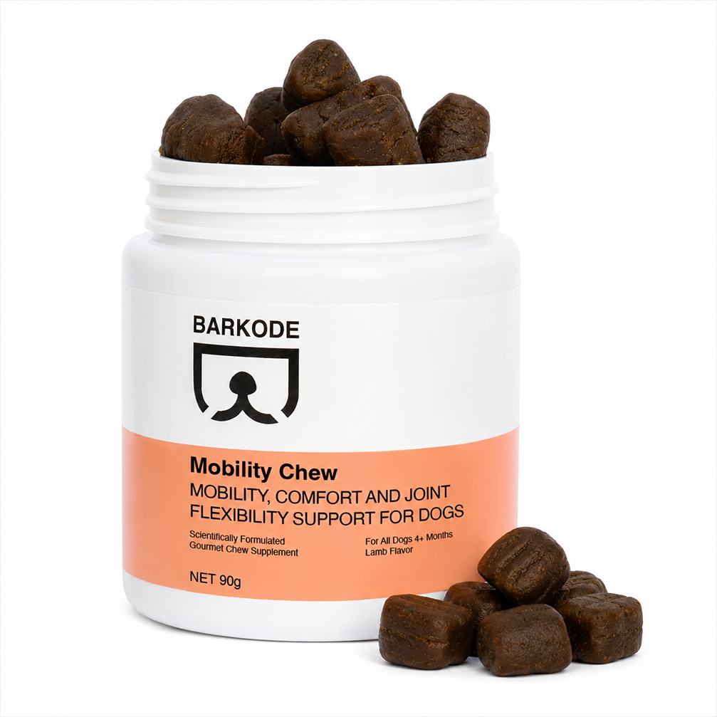A 1-jar pack of BARKODE Mobility Chew