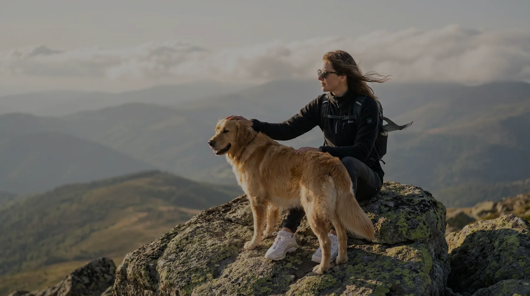 Dog running joyfully toward its owner