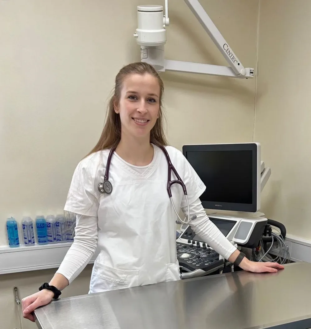 Veterinarian with dog