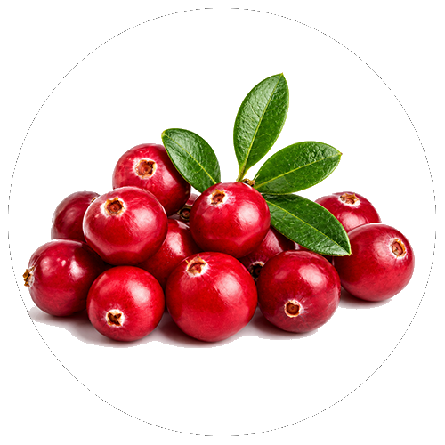 Cranberry